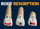 CLEAR Path to Root Resorption (1.5 CE) The C.L.E.A.R. Institute